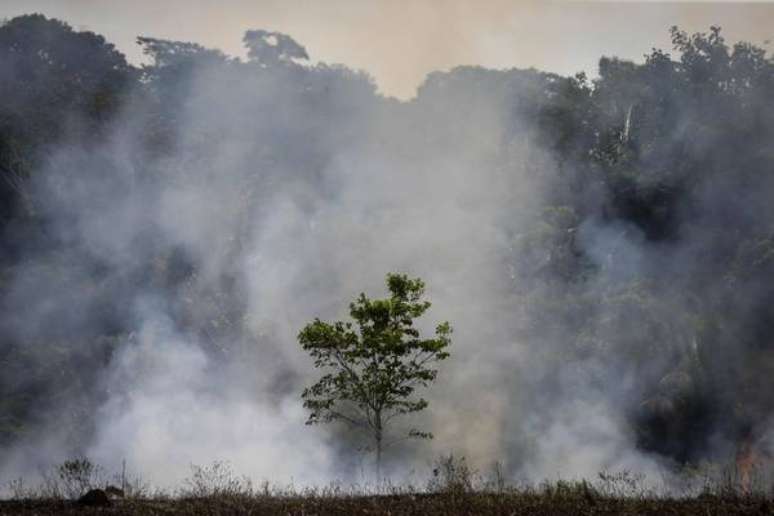 Incêndio florestal perto da rodovia Transamazônica, em Manicoré, no Amazonas