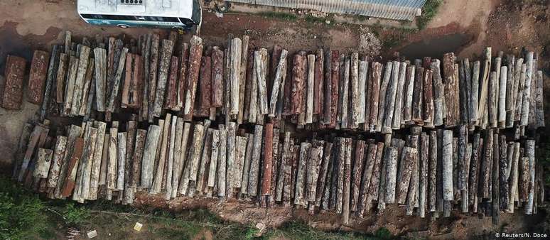 Madeira obtida a partir de desmatamento ilegal no Pará: investidores pedem ações contra destruição da Floresta Amazônica