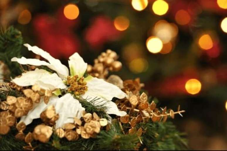 16- A flor de natal na cor branca tamb&eacute;m &eacute; muito utilizada para enfeitar a ceia de natal. Fonte: Getty Images