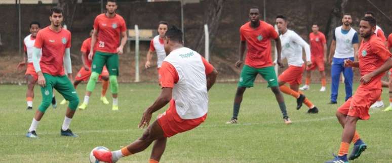 (Foto: Divulgação/Guarani)