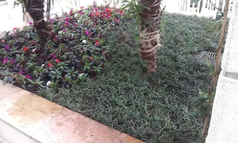 53. Este pequeno jardim conta com a presença de grama do tipo preta. Fonte: Pinterest