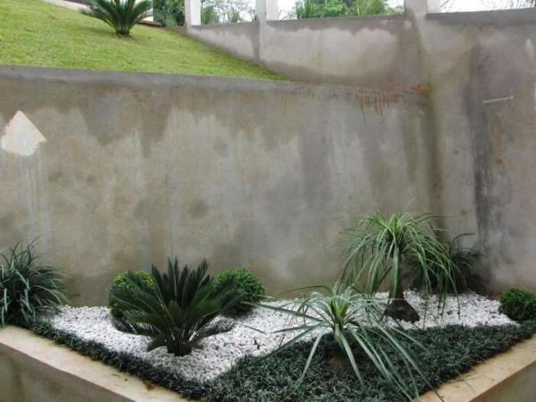 56. Jardim planejado com pedras brancas e grama do tipo preta. Fonte: Pinterest