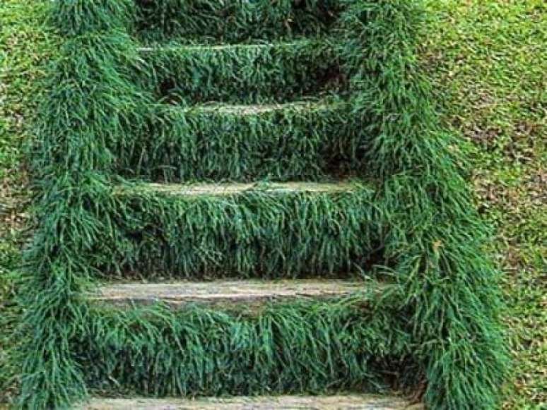 60. A grama do tipo preta preenche os espaços por entre os degraus da escada. Fonte: Pinterest