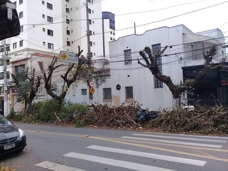 Poda indevida entre as Ruas Fábia e Duílio