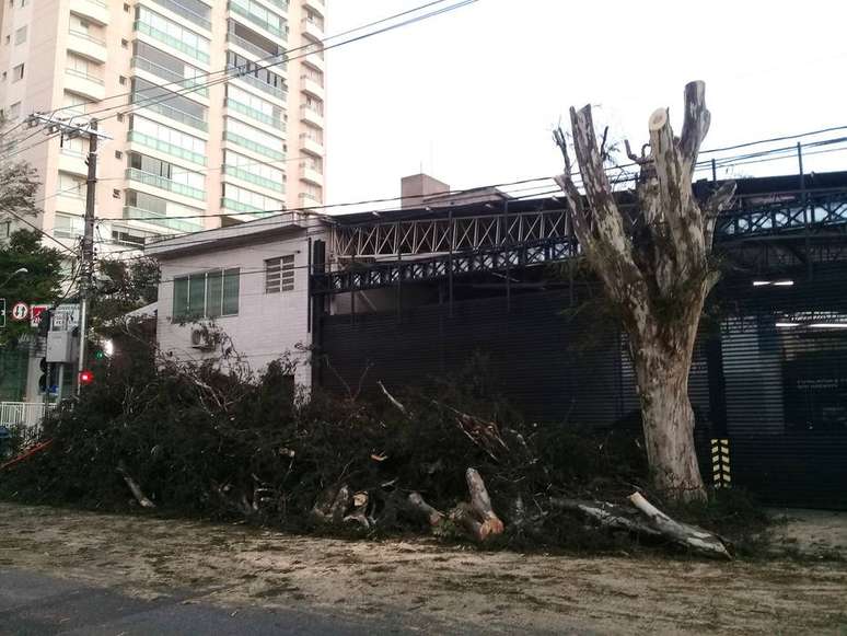 Intantes após a realização de poda indevida na Rua Coriolano, entre as Ruas Vespasiano e Espártaco