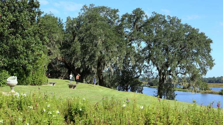 Casamentos e sessões de fotos são comuns nas fazendas históricas de Chalerston, como Middleton Place