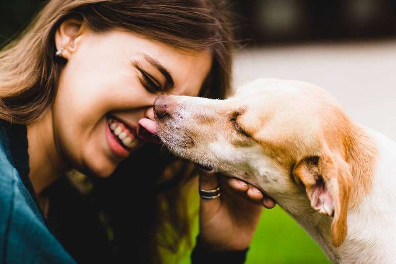 Ampara Animal, em parceria com o Carrefour, realiza feira de adoção de 34 cachorros e 14 gatos, em São Paulo.