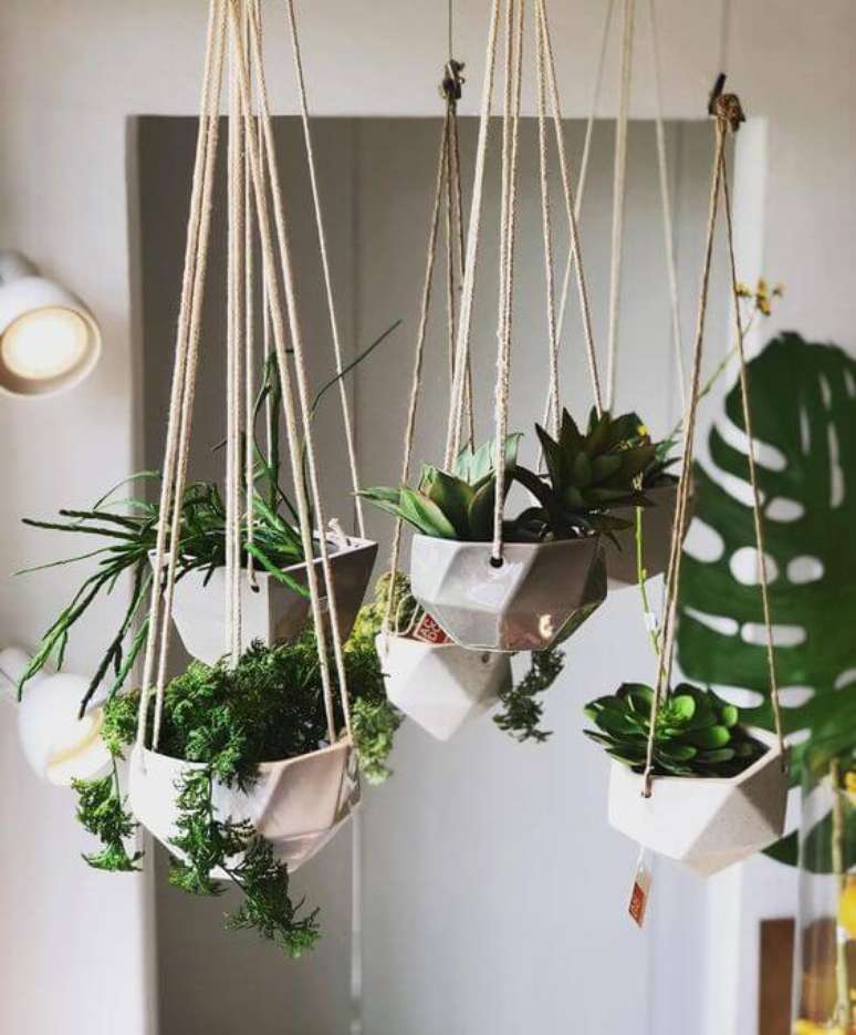 3. Suporte de pendurar plantas como suculentas – Por: Pinterest