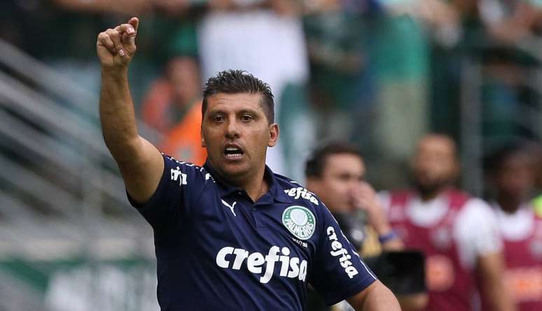 Sidnei Lobo analisou a atuação do Palmeiras (Foto: Divulgação/SEP)
