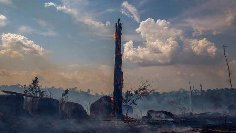 Houve mais de 70 mil incêndios florestais na Amazônia brasileira em 2019