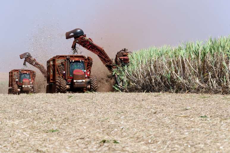 Máquinas agrícolas são utilizadas na extração de cana-de-açúcar em Pradópolis, SP
13/09/2018
REUTERS/Paulo Whitaker