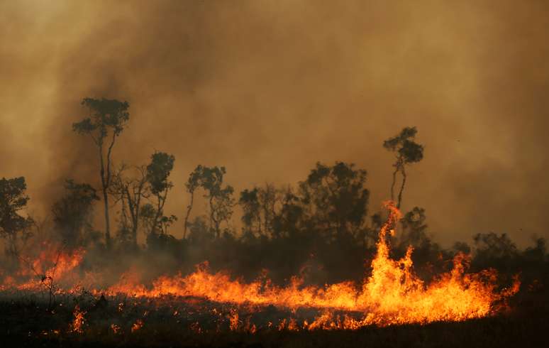 Incêndio atinge terra indígena Tenharim Marmelos, na floresta amazônica
15/09/2019 REUTERS/Bruno Kelly