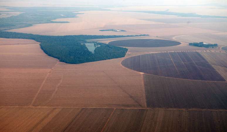 Plantação de soja no  Mato Grosso
09/09/2011
 REUTERS/Paulo Whitaker 