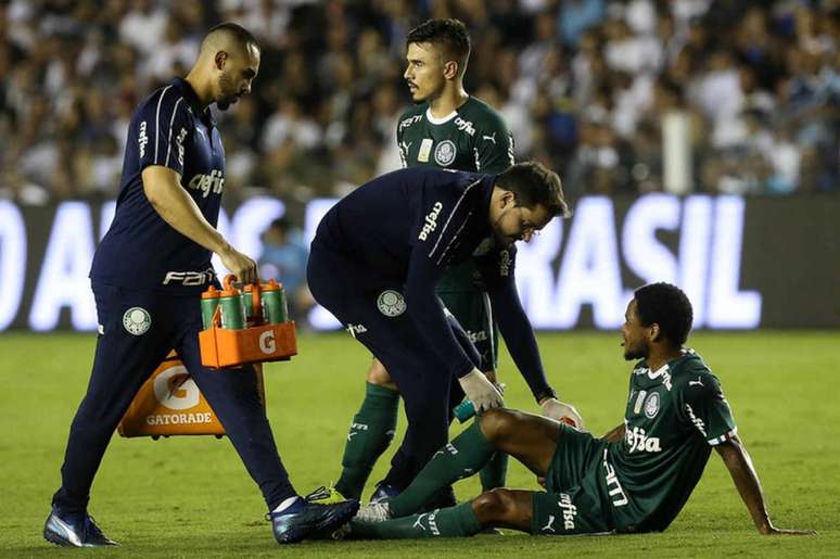 Foi constatada lesão no músculo posterior da coxa direita do atacante Luiz Adriano (Agência Palmeiras/Divulgação)