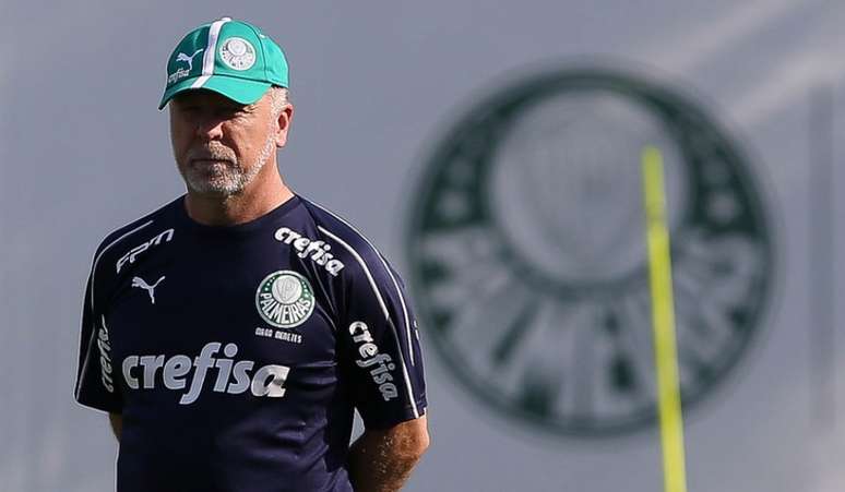 Mano Menezes tem desfalques para escalar o Palmeiras neste sábado (Foto: Agência Palmeiras/Divulgação)