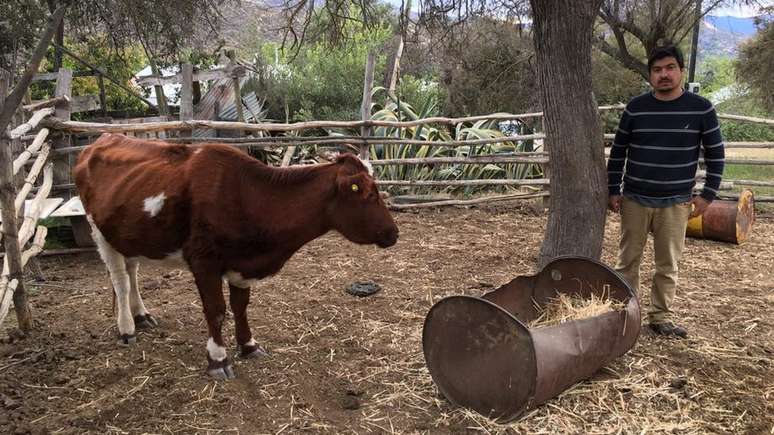 O fazendeiro Aldo Norman diz que seus animais 'estão morrendo' em virtude da seca