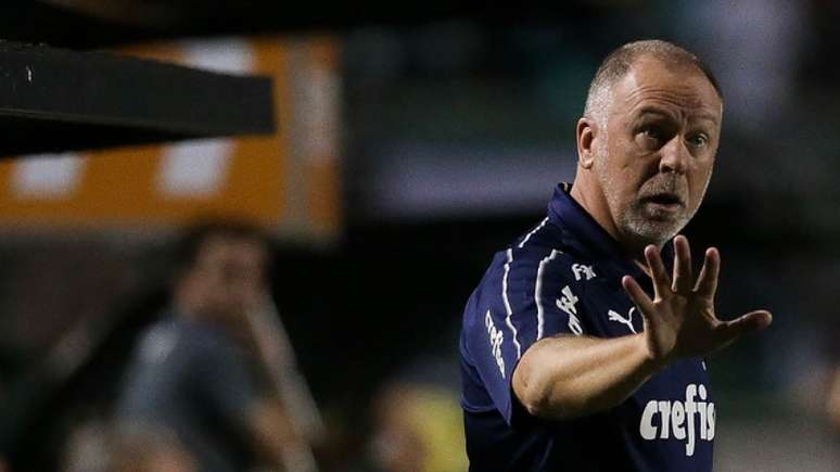 Mano Menezes durante a vitória do Palmeiras sobre o Botafogo, no sábado (Foto: Cesar Greco)