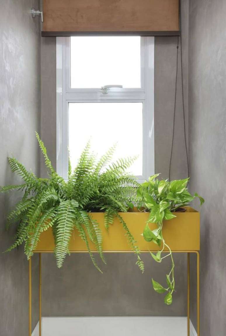 51. A cor amarela pode estar em um m&oacute;vel em que ficam as plantas da decora&ccedil;&atilde;o. Projeto de Inside Arquitetura e Design