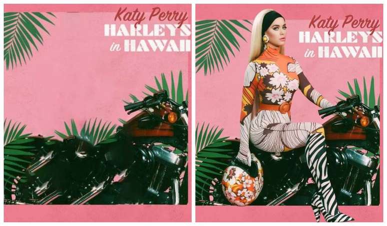 A cantora Katy Perry foi retirada capa do single 'Harleys In Hawaii'.