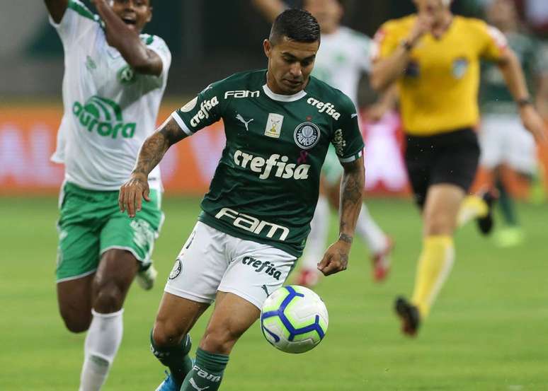 Dudu afirmou que o Palmeiras deve batalhar enquanto ainda tiver chances de ser campeão (Foto: SEP)