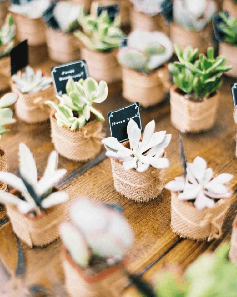 68. Decora&ccedil;&atilde;o de festa simples com suculentas para entregar de lembrancinhas &ndash; Por: Pintrest