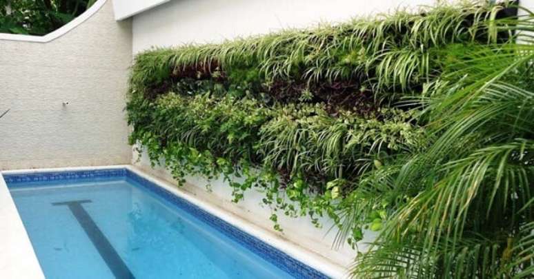 53. Aproveite a parede lateral da piscina para criar um lindo jardim vertical artificial. Fonte: Pinterest