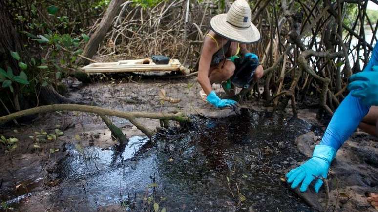 A fotógrafa Isabel Sant'Ana descreve cenário 'assustador' em manguezal