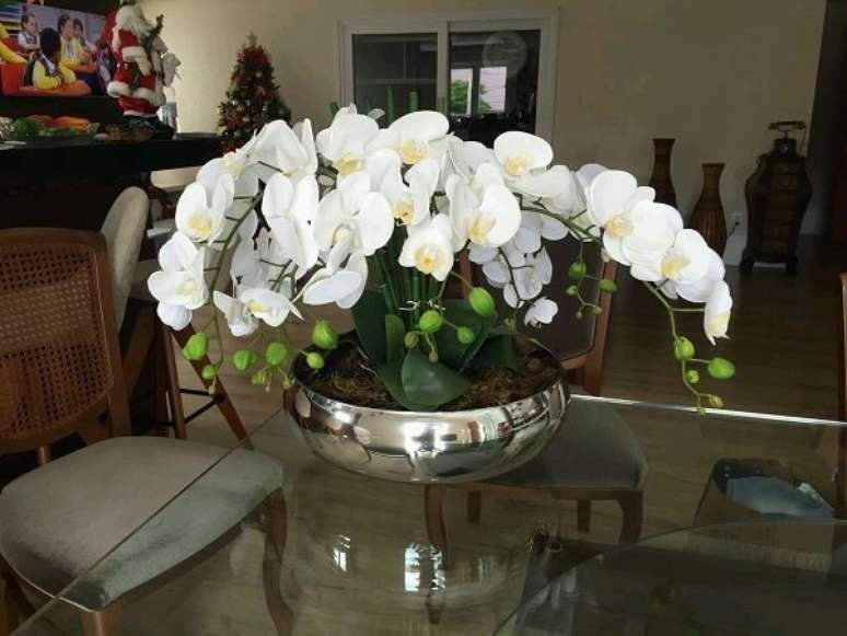 2. As orquídeas são plantas que purificam o ambiente. Fonte: Elo7