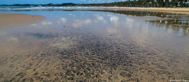 Mancha de óleo em uma praia de Pernambuco