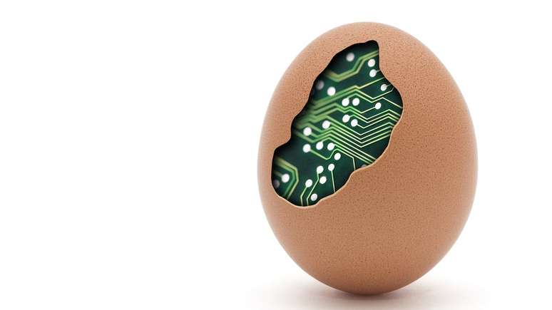 Havia algo nascendo, s&oacute; talvez n&atilde;o se sabia o qu&atilde;o grandioso