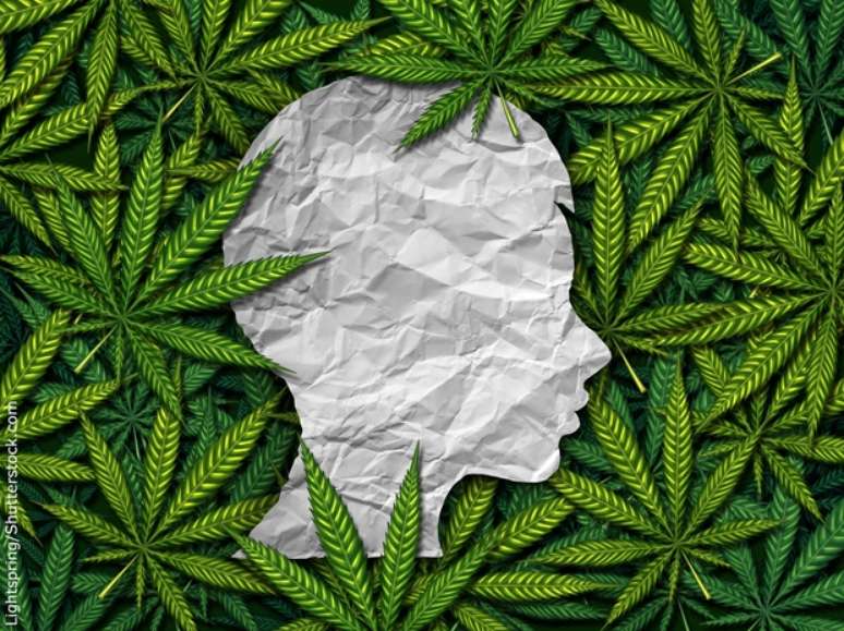 Cannabis Medicinal é Uma Aliada No Tratamento De Alzheimer