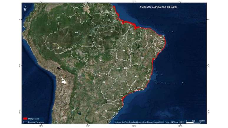 Mapa dos Manguezais do Brasil produzido pelo Ibama mostra quantidade de ecossistema na costa brasileira