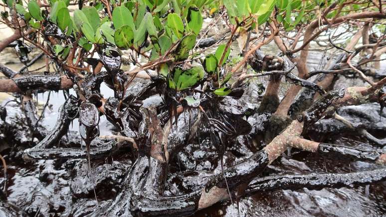 Petr&oacute;leo visto na praia de Tamandar&eacute;, em Pernambuco; pescadores ser&atilde;o afetados pela redu&ccedil;&atilde;o de pescado e organismos contaminados