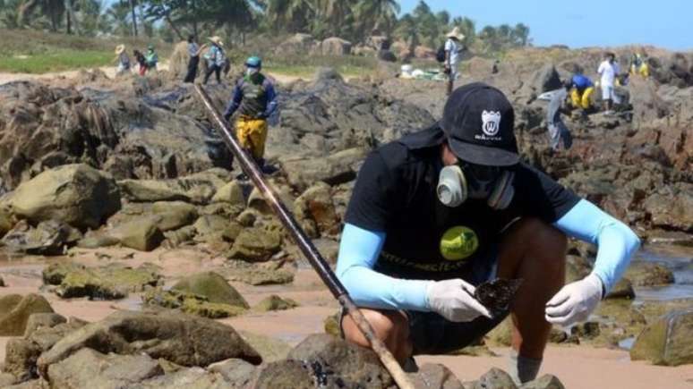 Voluntários limpam o óleo nas praias do Nordeste