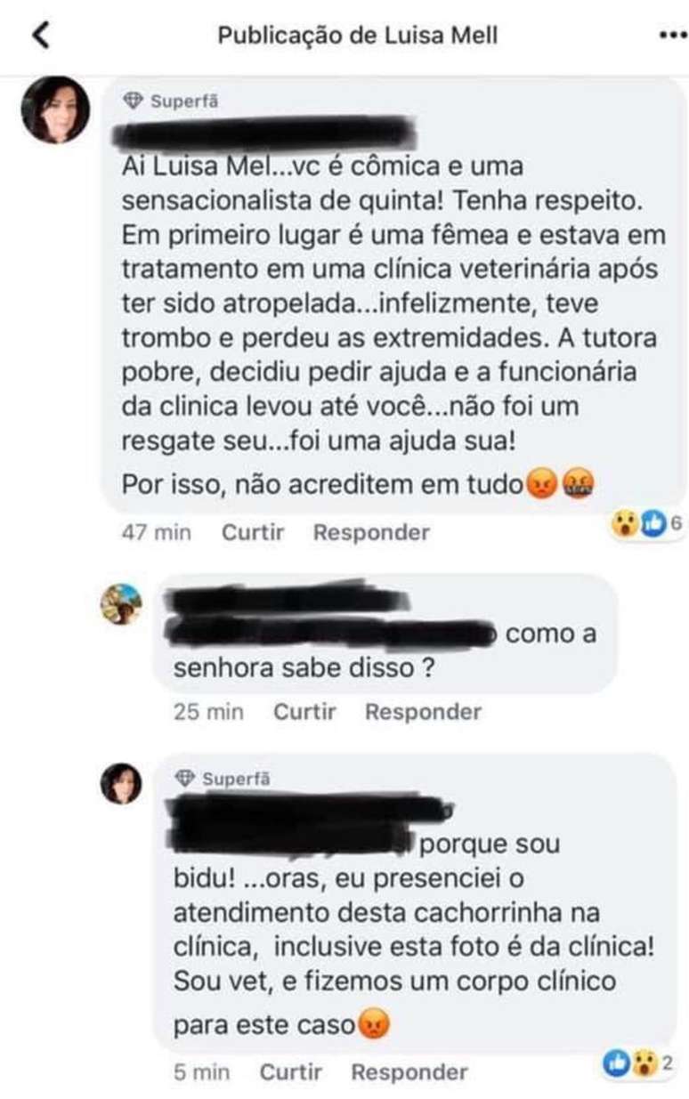 Comentário de internauta colocou como erradas as informações de Luisa Mell, mas ela rebateu.