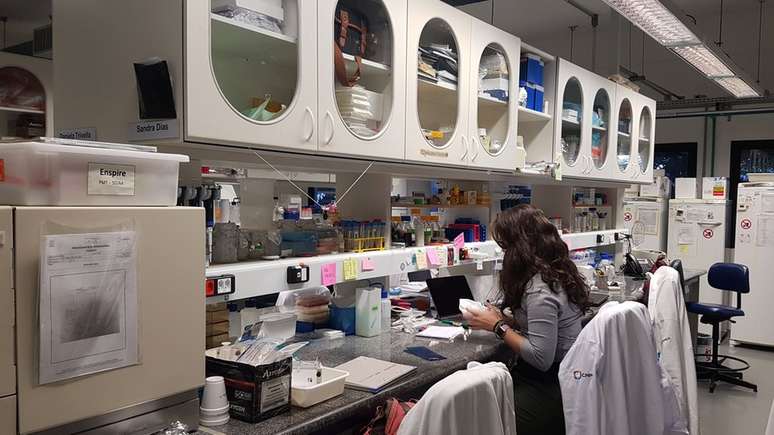 Falta de financiamento das indústrias aliada aos recorrentes cortes de verbas de bolsas causam uma fuga de cérebros do Brasil, segundo cientistas