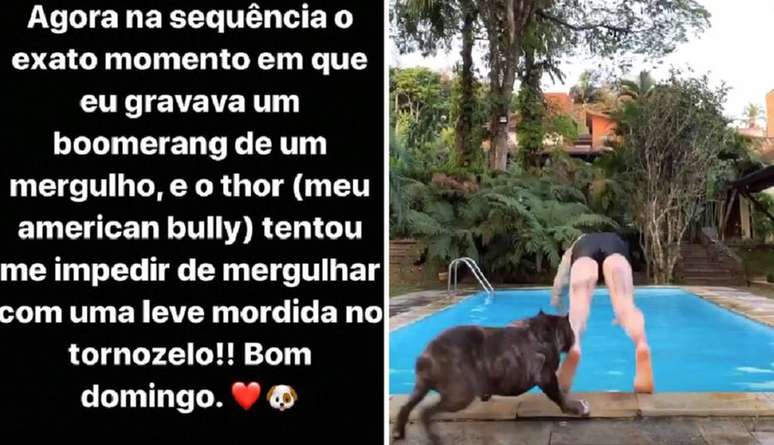 Felipe Titto compartilhou o momento da mordida nos stories do Instagram.