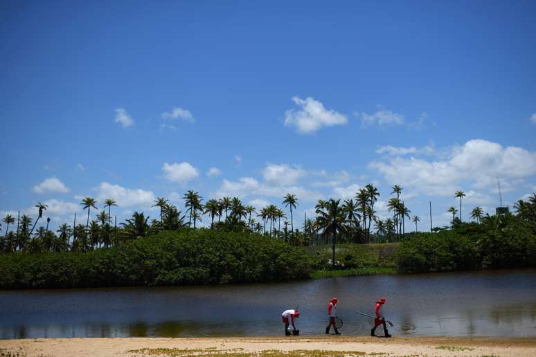 Remoção de óleo na praia de Imbassaí, em Mata de São João, Bahia  26/10/2019 REUTERS/Lucas Landau