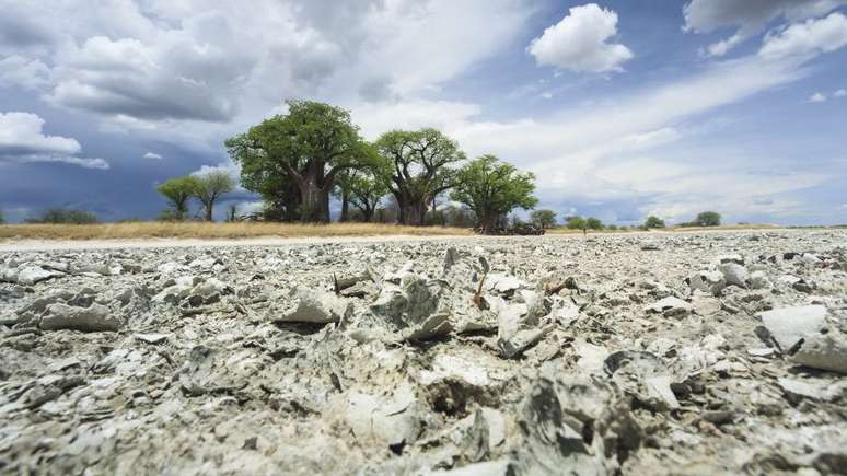 A paisagem da região é muito mais árida hoje