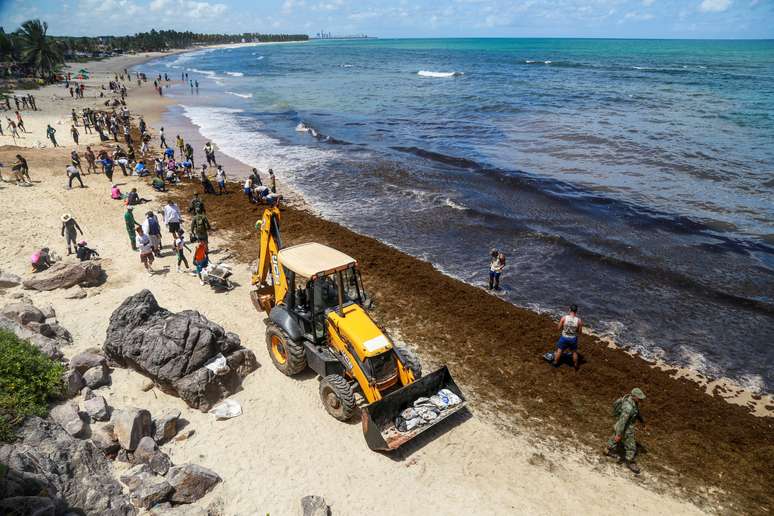 Derramamento de petróleo na praia de Itapuama Beach, em Cabo de Santo Agostinho (PE) 
22/10/2019
REUTERS/Diego Nigro