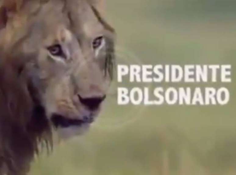Bolsonaro publica vídeo com leão e hienas e provoca polêmica com STF