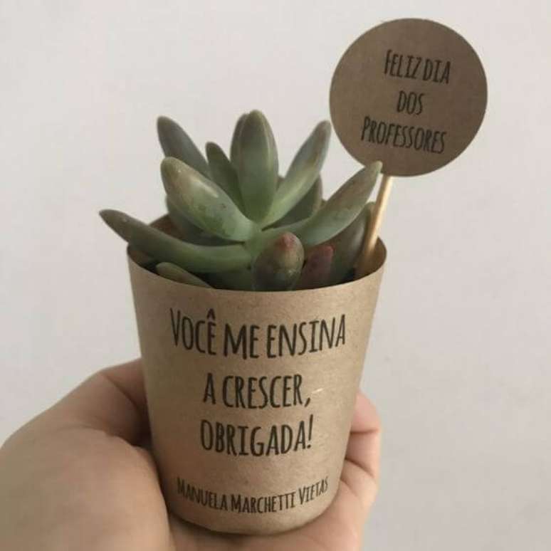 67. A suculenta &eacute; uma &oacute;tima lembrancinhas de formatura para todos os cursos &ndash; Por: Muito Chique