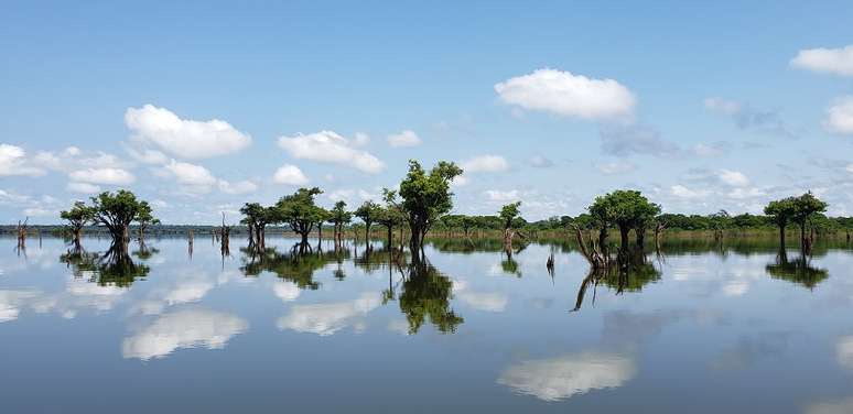 Aos poucos, o turismo ressurge na região amazônica do rio Uatumã, décadas após a construção de uma das hidrelétricas que mais prejudicaram o meio-ambiente no Brasil