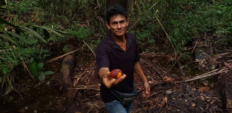 O ribeirinho José Camilo da Silva mostra um buriti, numa das trilhas abertas para uma pousada