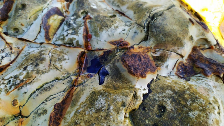 Fragmentos de óleo na praia norte da Ilha de Santa Bárbara, em Abrolhos