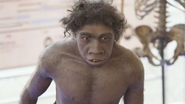 Simulação do Homo erectus, que, segundo Everett, foi o 'inventor' da linguagem
