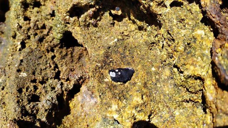 Fragmento de óleo foi encontrado na praia norte da Ilha de Santa Bárbara