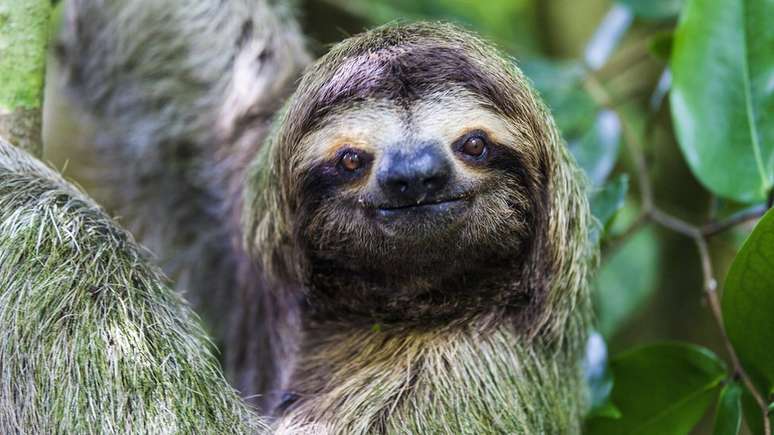 Lucy diz que &eacute; preciso valorizar mais a ideia de levar a vida tranquilamente