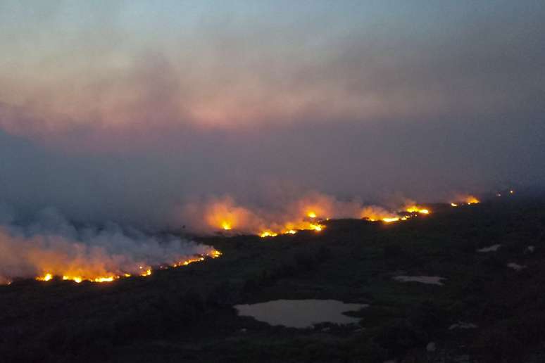Pantanal sofre com fogo.