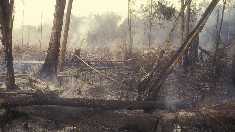 Redução no desmatamento, como este na Amazônia, é uma das medidas urgentes indicadas pelos cientistas